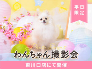 東川口店わんちゃん撮影会ひなまつり
